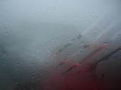 DSC07784.JPG